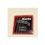 Karin Cümbüş Teli