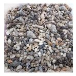 Karışık MİNİK Kiloluk Deniz Kabuğu (Şişe İçi İçin) 500 GR