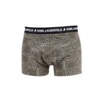 KARL LAGERFELD Yeşil Erkek Boxer 231M2103683