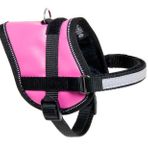 Karlie 31-40 cm Pembe Reflektörlü İsimlikli Köpek Göğüs Tasması