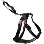 Karlie L 50-70 cm Siyah Naylon Araç Emniyet Kemeri