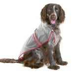 Karlie Şeffaf 34 cm Köpek Yağmurluk