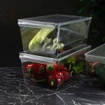 Karokstore Pet Buzdolabı Düzenleyici Kapaklı (Xl) - standart