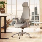 Karr Office Lizbon Ergonomik Çalışma Koltuğu - Gri