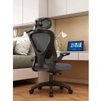 Karr Office Oslo Ergonomik Çalışma Sandalyesi - Siyah