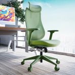 Karr Office Rio Ergonomik Çalışma Koltuğu - Yeşil