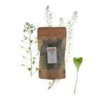 Karşı Köyden Çoban Çantası Kesesi, Cıngıldak Otu, Kuşkuş Otu, Medik, Capsella Bursa Pastoris, 25 G