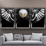 Kartal-1 Temalı Aynalı Çerçeveli 3 lü Kanvas Tablo Seti 150x70 cm SETS0045