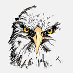 Kartal göz keskin gözlem araba Sticker 17CM