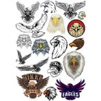 Kartal Sticker Set 5 20 Parça Telefon, Tablet, Defter, Laptop Sticker