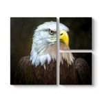 Kartal Tablosu 88 x 73-3 Parçalı