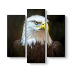 Kartal Tablosu 96 x 90-3 Parçalı