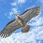 Kartal Uçurtma Kartal Kuş Desenli Uçurtma