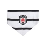 Kartal Yuvası 45468763543 Beşiktaş Bebek Mama Önlüğü