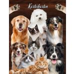 Karteikarten Buch Katzensalon Hundesalon Karteikartenbuch Mobiler Tierfriseur Tiersalon Hundefriseur Katzenfriseur Hunde Katzen Friseur für Kleintiere ... notieren dokumentieren der Kundendaten 04D03