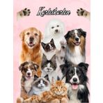 Karteikarten Buch Katzensalon Hundesalon Karteikartenbuch Mobiler Tierfriseur Tiersalon Hundefriseur Katzenfriseur Hunde Katzen Friseur für Kleintiere ... notieren dokumentieren der Kundendaten 04D08