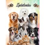 Karteikarten Buch Katzensalon Hundesalon Karteikartenbuch Mobiler Tierfriseur Tiersalon Hundefriseur Katzenfriseur Hunde Katzen Friseur für Kleintiere ... notieren dokumentieren der Kundendaten 04D12