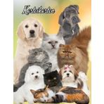 Karteikartenbuch Katzensalon Hundesalon Karteikarten Buch Tiersalon Hundefriseur Mobiler Tierfriseur Katzenfriseur Hunde Katzen Friseur für Kleintiere ... notieren dokumentieren der Kundendaten 05E06