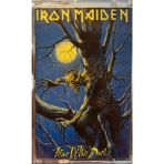 Kaset Iron Maiden – Fear Of The Dark 1992 Baskı Kaset - seçenek yok