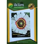 KASIMPATI ÇİÇEĞİ TOHUMU-1 BEYAZ TAKRİBİ 20 ADET TOHUM