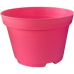 Katı Plastik Sukulent Saksısı 10 Adet Pembe 8.5 Cm
