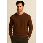 Katia & Bony Erkek Premium Bisiklet Yaka Yumuşak Dokulu Triko Kazak Kahverengi - L - XL
