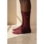 Katia & Bony Erkek Zımbalı Derbi Soket Çorap Bordo - Standart - 810-Bordo
