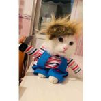 Katil Bebek Chucky Kedi Kostümü