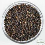 Katkı Dünyası 100 gr Siyah Kinoa Tohumu