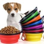 Katlanabilir Evcil Hayvan Kedi Köpek Mama Su Kabı
