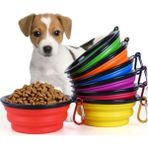 Katlanabilir Kedi Köpek Mama ve Su Kabı, Renk Seçenekleriyle Pratik Kullanım - Seçenek 1