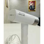 Katlanabilir Portatif Kırışık Giderici Buharlı Seyahat Ütü RC-6116