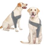 Katzinst Recovery Sleeve köpek, diz bandajı, köpek arka bacak, dirsek bandajı, köpek, elastik, dirseklik, ön sağ sol bacak yaralar için, bandaj, köpekler için yalama önleyici, gri XS