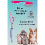Kavisli Rainbow Evcil Hayvan Tasarım Makası ve Tarağı Seti Hediyeli