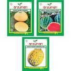 Kavun Ananas Crimson Sweet Karpuz Kavun Kırkağaç 589 Tohumu