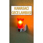 Kawasacı Nostaljik Gece Lambası Kendinden Fişli Çıt Çıt Anahtarlı 7 Watt Ampullü Çiçek Model