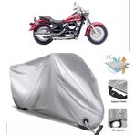 Kawasaki VN 800 Classic Motor Brandası
