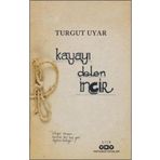 Kayayı Delen İncir Yapı Kredi Yayınları