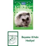 Kayıp Kirpi Yavrusu + Boyama Kitabı