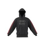 KE6787 AU DNA HS M Siyah Kapüşon Baskılı Erkek Sweatshirt