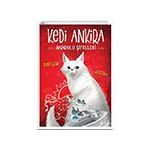 Kedi Ankira Anadolu Şifreleri Martı Çocuk Yayınları