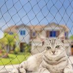 Kedi Balkon Ağı 10 x 30 Ayaklar Kedi Ağı Güvenlik Ağı Düşmeye Karşı Ağ Köpek Çit Ağları Naylon Güverte Ağı Evcil Hayvan Örgü Çit Balkon Pencere Merdiven Korkulukları için Çocuk Güvenliği Ekran