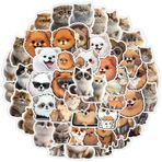 Kedi çıkartması, Pomeranian çıkartması, 50 adet, kaykay, grafiti, çıkartma, motosiklet, bisiklet, snowboard, bagaj, dizüstü bilgisayar, araba, çanta, çocuklar ve gençler için, su geçirmez vinil