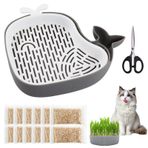 Kedi çimi tohum seti, 15 g x 10 paket, kedi otu tohum kasesi, filiz yetiştirme seti