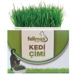 KEDİ ÇİMİ