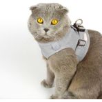 Kedi Gezdirme Tasması - Kedi Tasması Göğüs Tasma Seti Yumuşak Süet Kumaş Gri Renk - Küçük