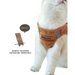 Kedi Gogus Tasmasi Kedi Gezdirme Tasmasi Kediler Icin Ozel Uretim Yeni Nesil