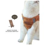 Kedi Göğüs Tasması Kedi Gezdirme Tasması Yeni Nesil (TASMA DAHİL)