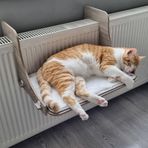 Kedi Kalorifer Askı Yatağı