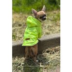 Kedi - Köpek Kıyafeti Kapşonlu Yeşil Yağmurluk & Mont